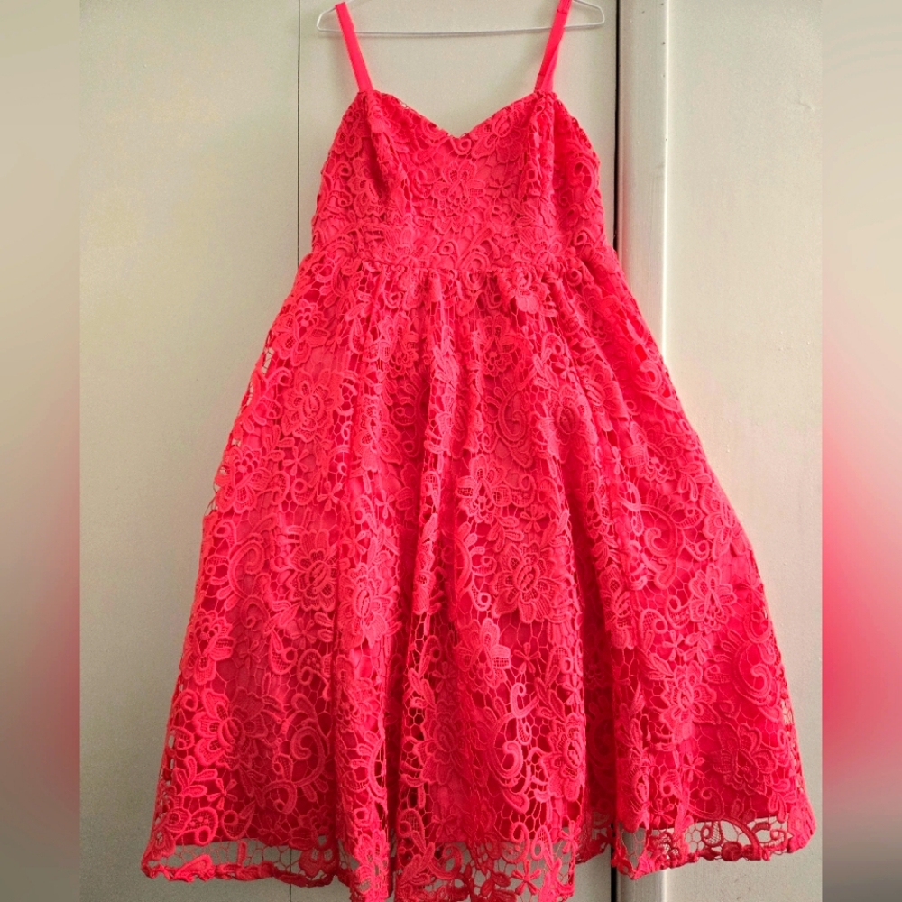 Pink Lace Torrid Dress